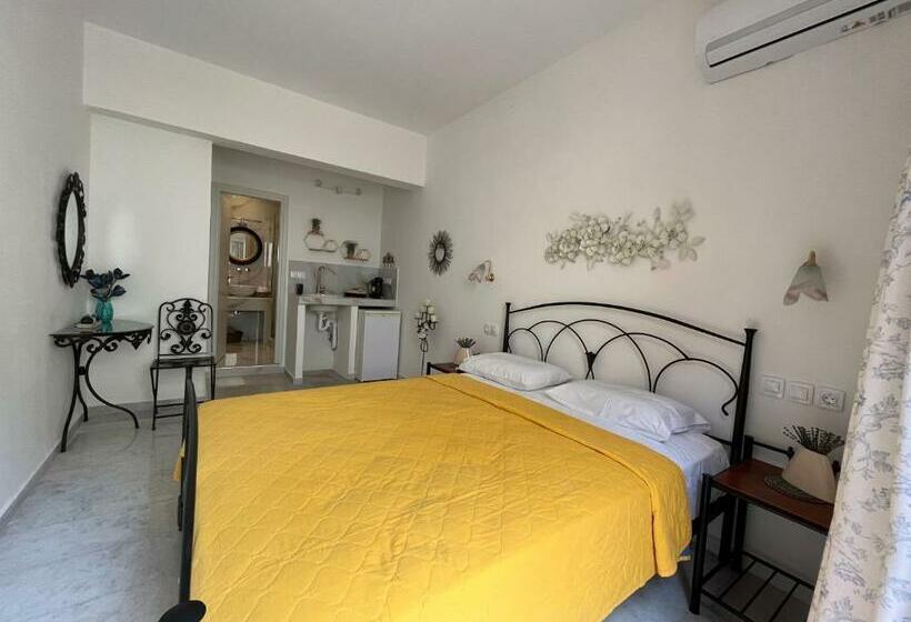 Номер Стандарт, Naxos Philoxenia