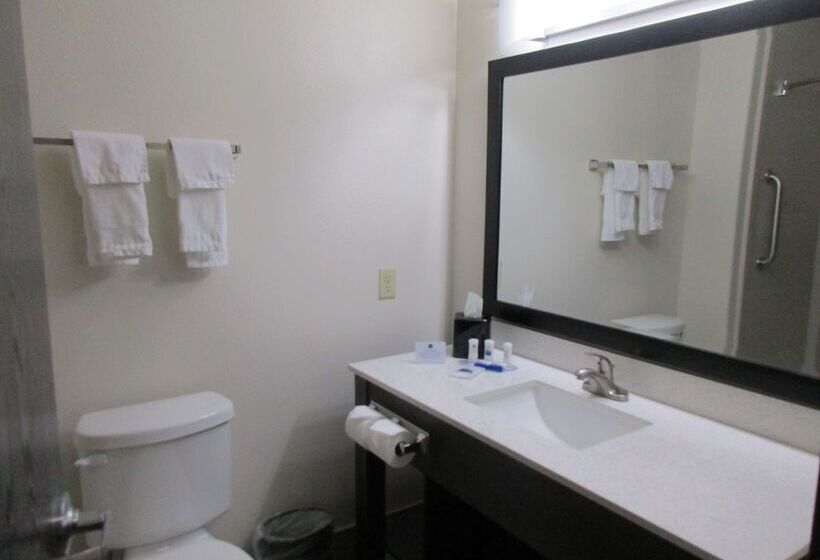 Люкс, Best Western Plus Ardmore Inn & Suites