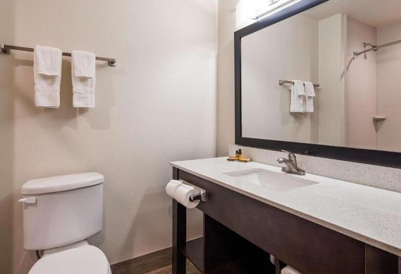 Люкс Кровать Кинг, Best Western Plus Ardmore Inn & Suites