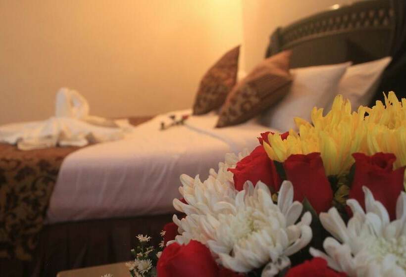 Superior Room, Olympic