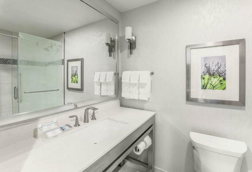 Стандартный Номер Кровать Кинг, Hilton Garden Inn Ardmore