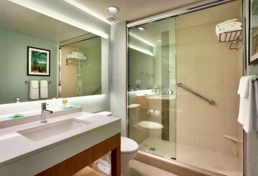 Номер Стандарт Верхний Этаж, Hyatt Place Salt Lake City Farmington Station Park