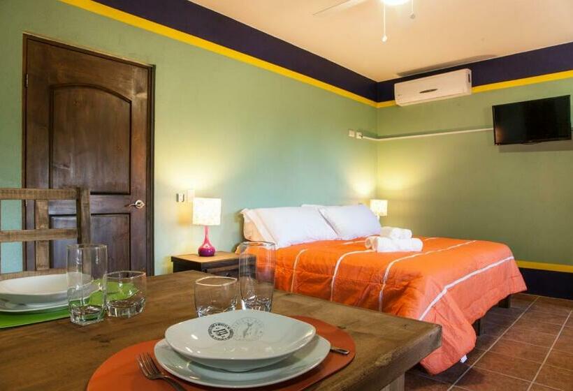 Люкс Вид на Бассейн, Casa Juarez B&b