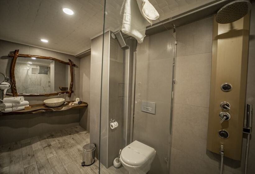 Suite Deluxe Vista Mar, Aksular
