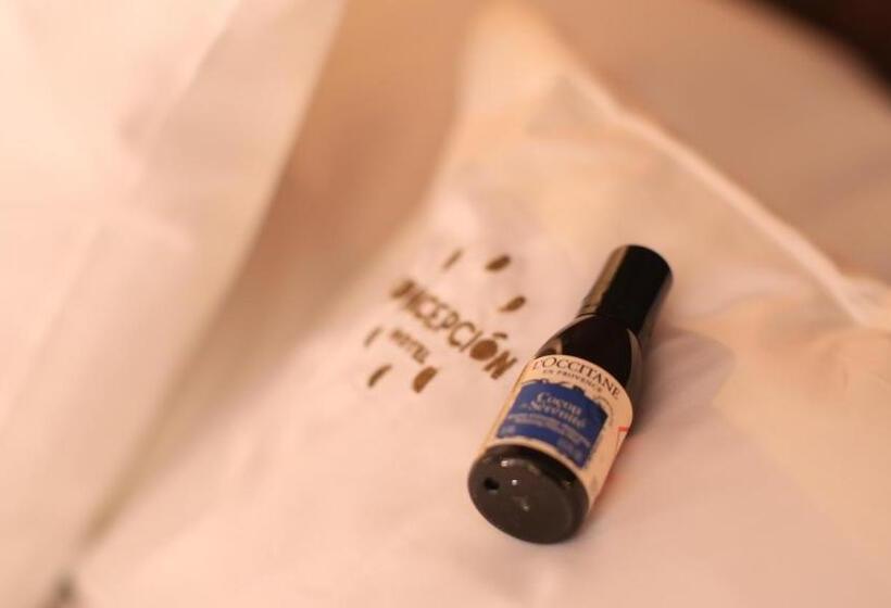 سوییت سوپریور, Concepción Hotel Boutique   Adults Only