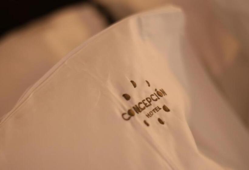 سوییت سوپریور, Concepción Hotel Boutique   Adults Only