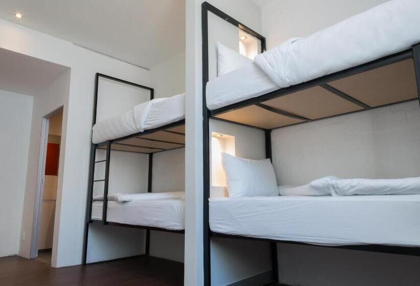 تختخواب در اتاق مشترک, 91 Loop Boutique Hostel