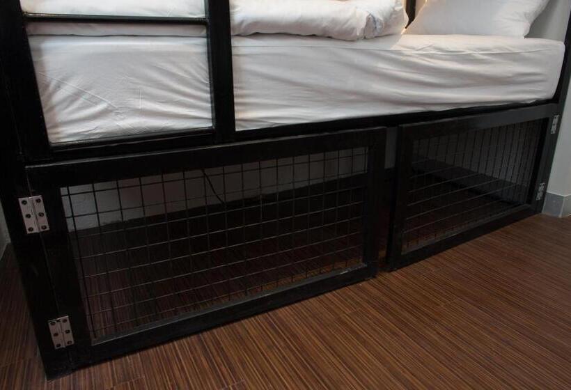 تختخواب در اتاق مشترک, 91 Loop Boutique Hostel