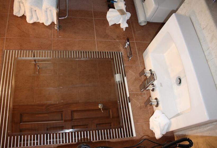 اتاق استاندارد, Zarzarosa Hotel Boutique
