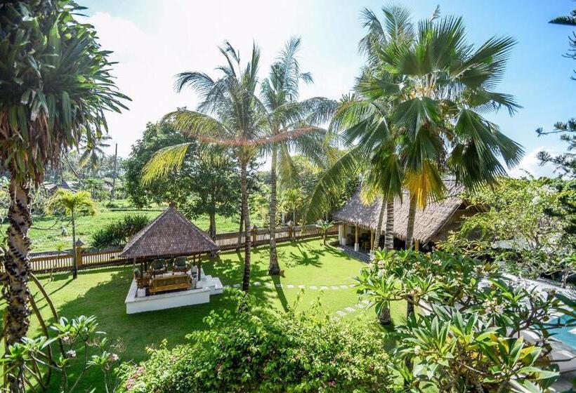 수피리어 트리플 룸, Aashaya Jasri Resort