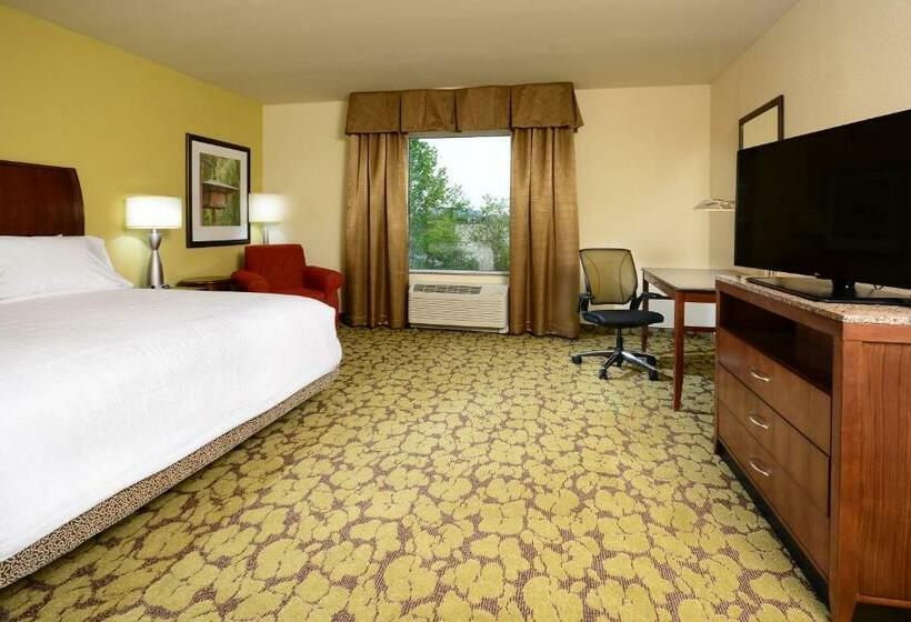 Номер Стандарт Кровать Кинг Адаптированный для Инвалидов, Hilton Garden Inn Greensboro Airport