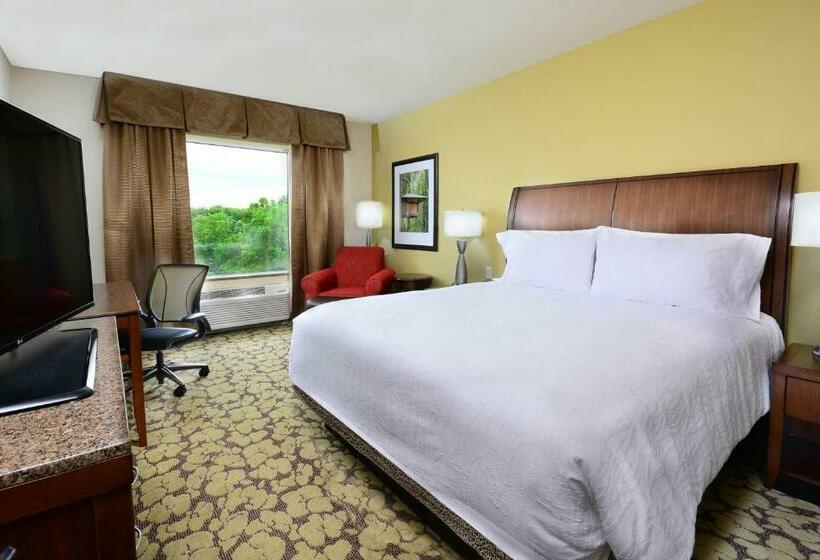 Стандартный Номер Кровать Кинг, Hilton Garden Inn Greensboro Airport