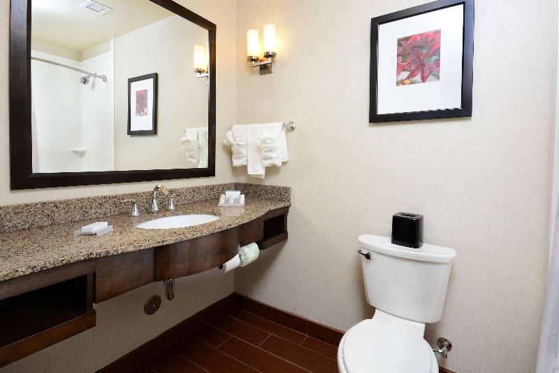 Стандартный Номер Кровать Кинг, Hilton Garden Inn Greensboro Airport