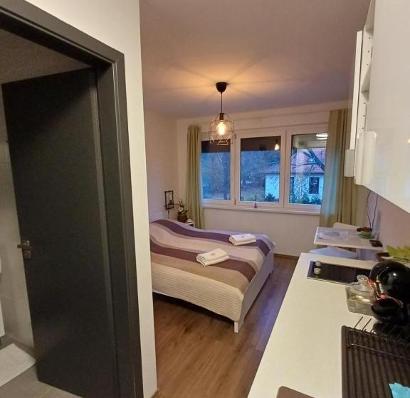 Студия Стандарт, Harmónia Apartman Balatonföldvár