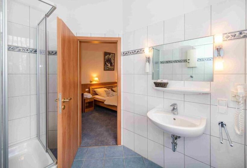 Номер Стандарт Индивидуальный, Golfhotel Denzerheide