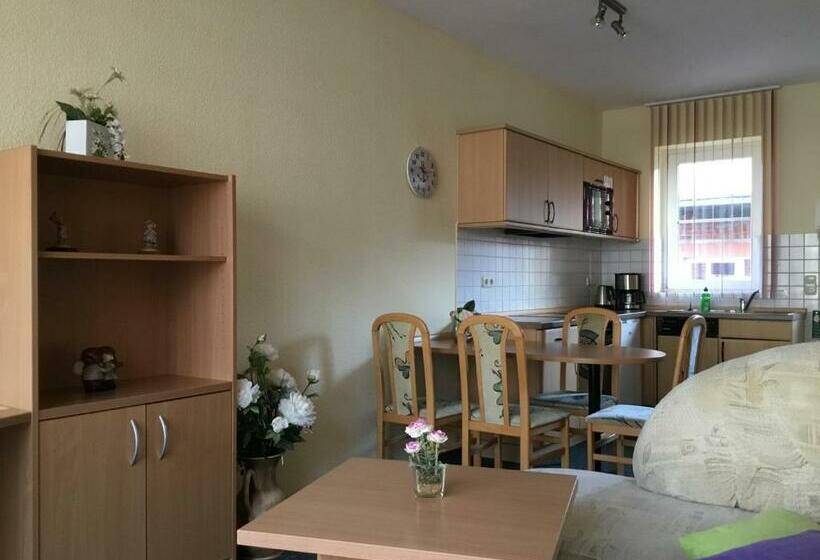 شقة غرفة نوم واحدة مزودة بشُرفة, Haus Kim   Apartments