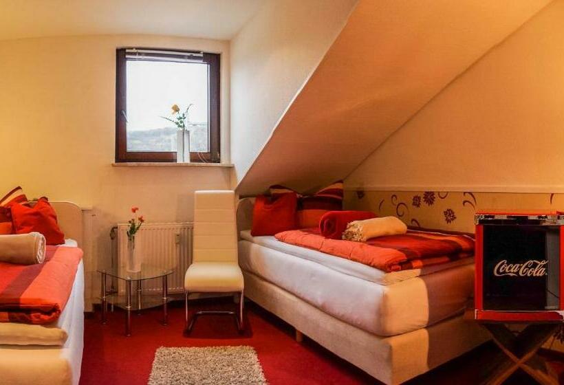 Номер Стандарт, Oberkasseler Hof Bonn