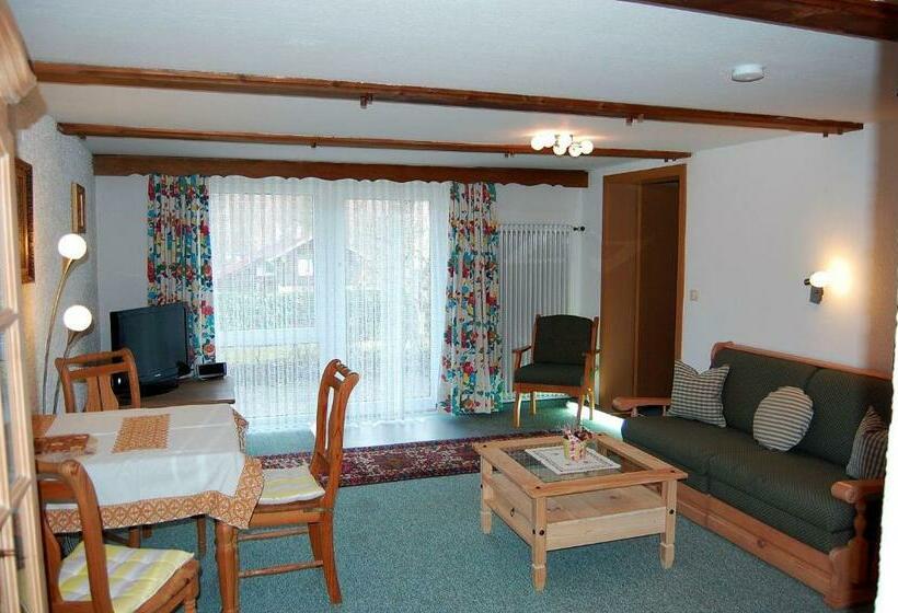Апартаменты 1 Спальня, Pension   Heidelberg