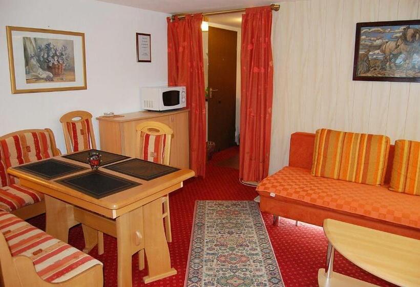 Апартаменты 1 Спальня с Террасой, Pension   Heidelberg