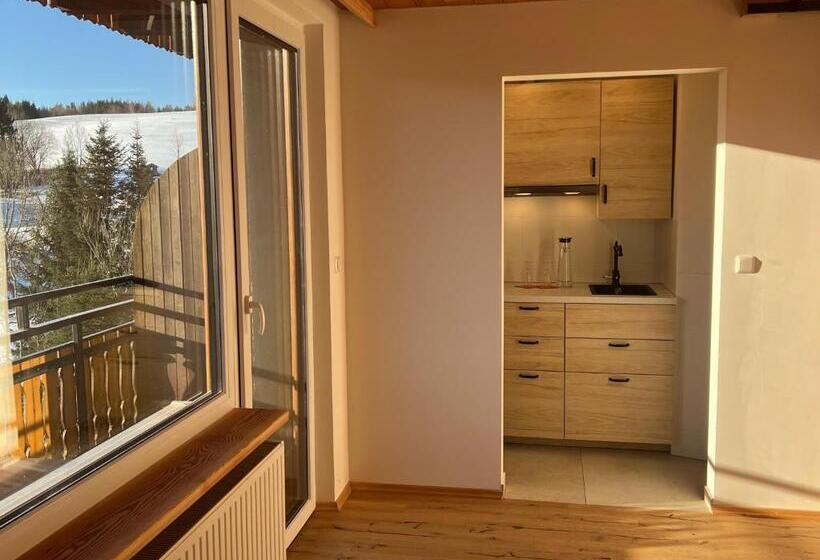 Апартаменты 1 Спальня с Балконом, Boutique Hotel And Apartments Pension Sternen