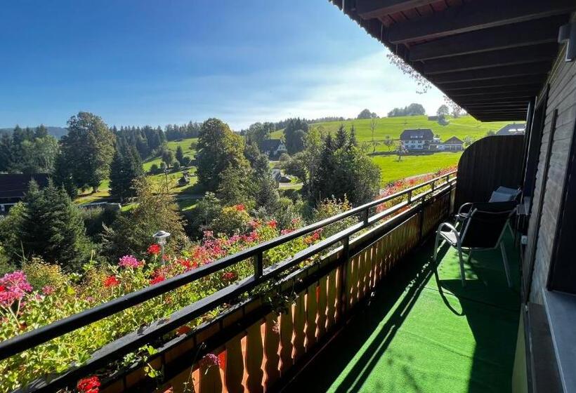 Апартаменты 1 Спальня с Балконом, Boutique Hotel And Apartments Pension Sternen