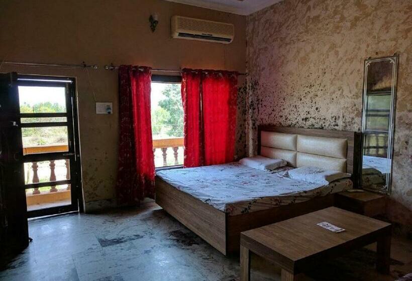 Quarto Deluxe, Ivy, Talwara
