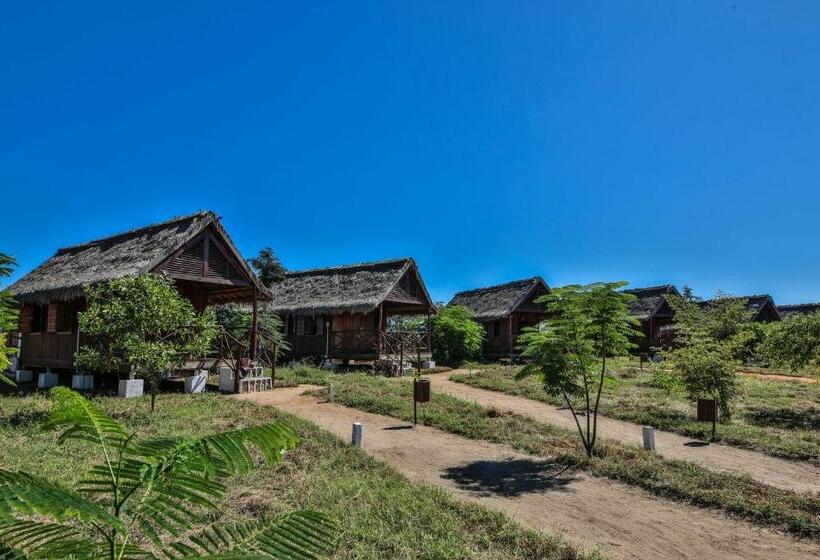 اتاق استاندارد, Relais Du Kirindy