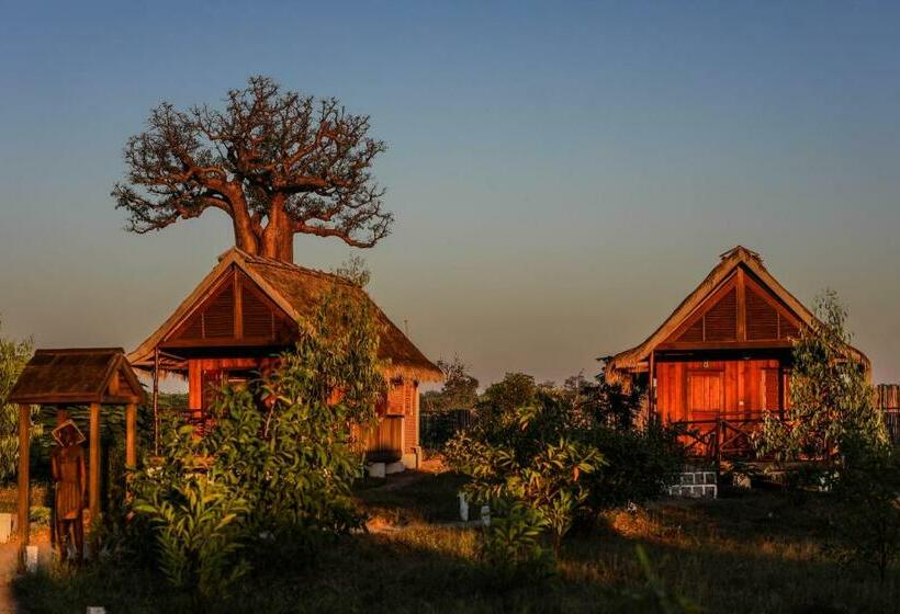 اتاق استاندارد سه نفره, Relais Du Kirindy