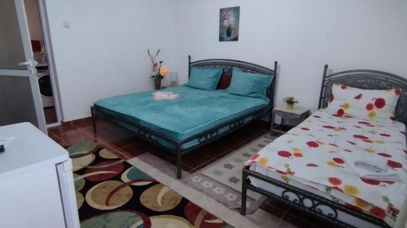 اتاق ساده سه‌ نفره, Zambilelor 3