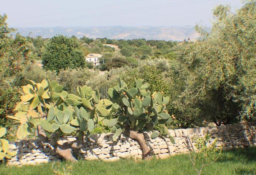 اتاق اکونومی, Le Due Palme