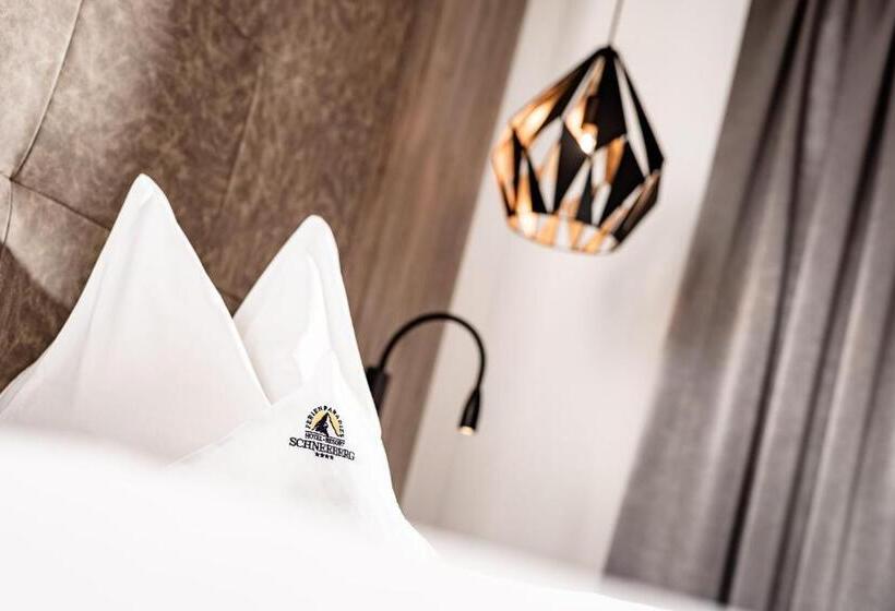 标准单人间, Schneeberg Family Spa Resort