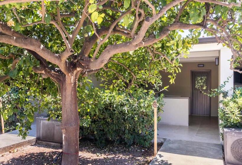 اتاق استاندارد اینتریور, Villa Felicia