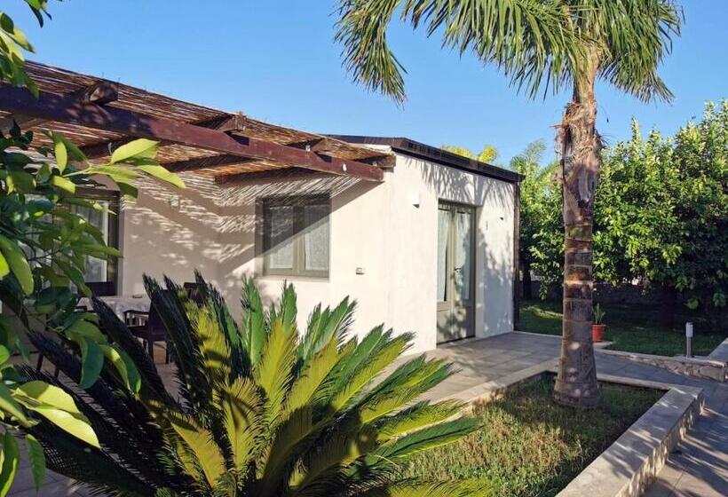 آپارتمان 1 خوابه با چشم‌انداز باغ, Villa Felicia