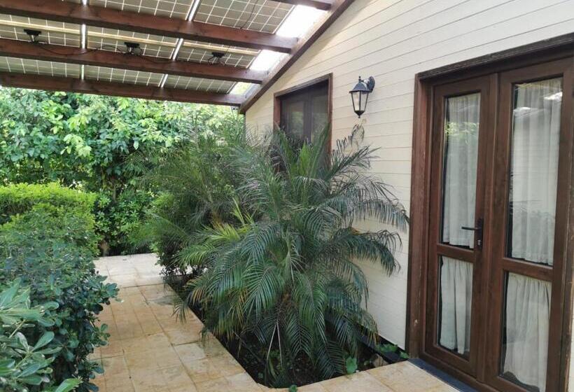 آپارتمان 1 خوابه با چشم‌انداز باغ, Villa Felicia
