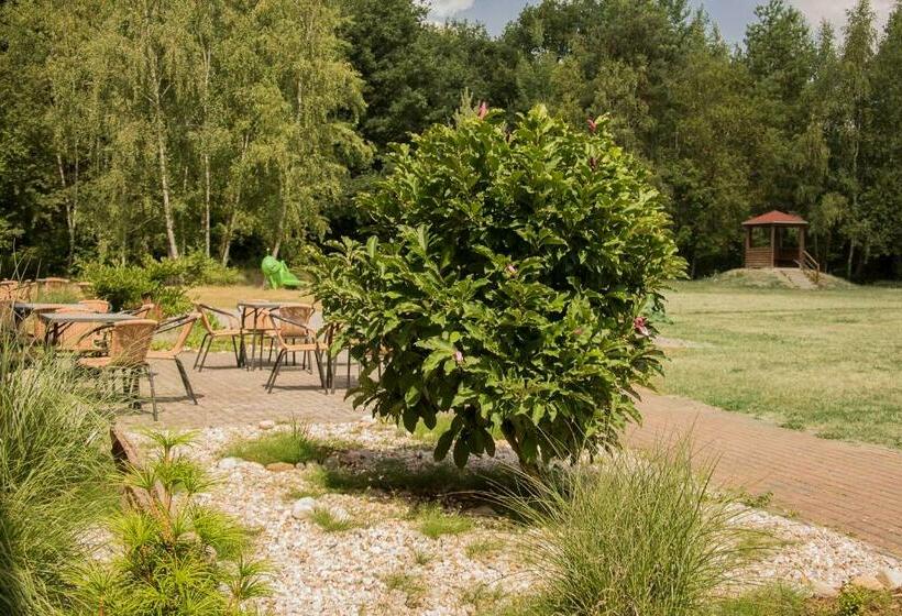 Номер Стандарт, Forum Grillensee