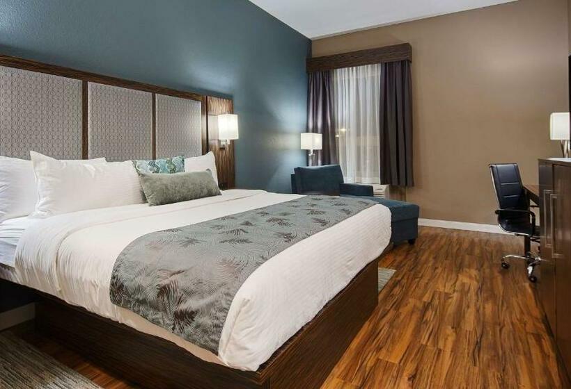 Стандартный Номер Кровать Кинг, Best Western Plus Pflugerville Inn & Suites