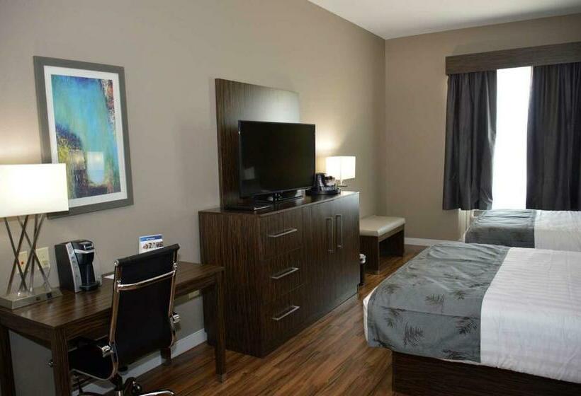 스탠다드 룸, Best Western Plus Pflugerville Inn & Suites