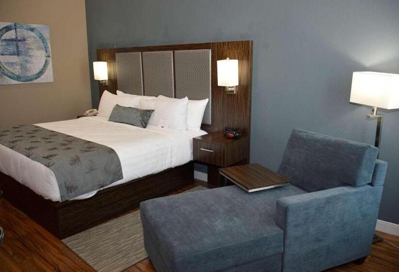 Стандартный Номер Кровать Кинг, Best Western Plus Pflugerville Inn & Suites