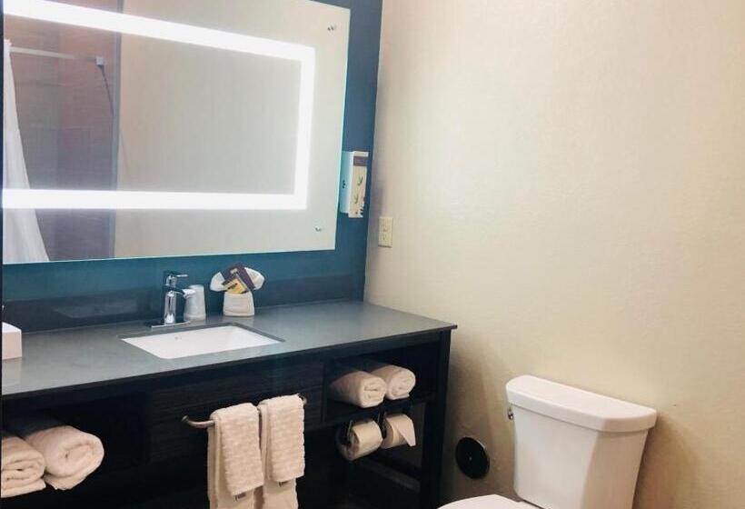 Номер Стандарт Адаптированный для Инвалидов, Best Western Plus Pflugerville Inn & Suites