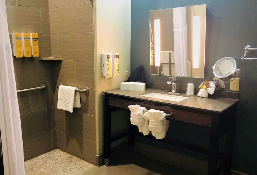 스위트, Best Western Plus Pflugerville Inn & Suites