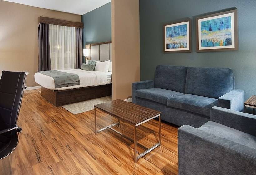 스위트, Best Western Plus Pflugerville Inn & Suites
