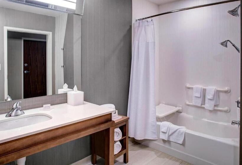 스탠다드 룸 킹사이즈 침대, Courtyard By Marriott Nashville Mount Juliet