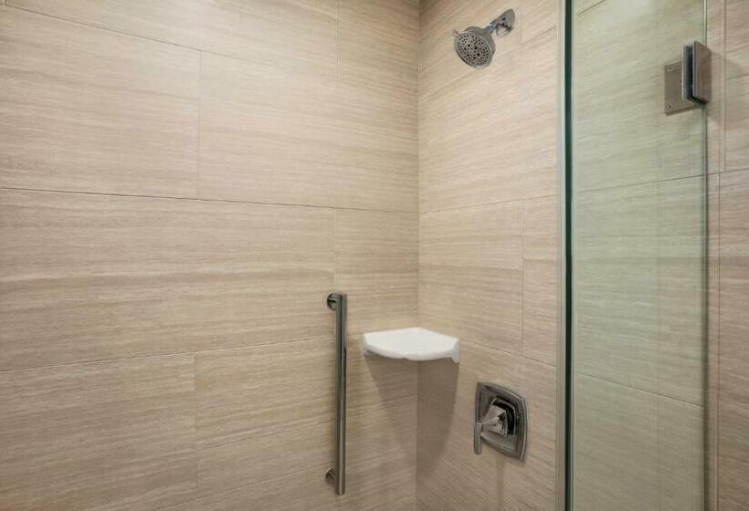 إستوديو قياسى سرير كينج, Embassy Suites By Hilton Mcallen Convention Center