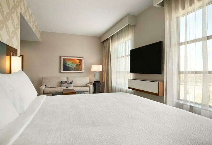 Студио Стандарт Кровать Кинг, Embassy Suites By Hilton Mcallen Convention Center