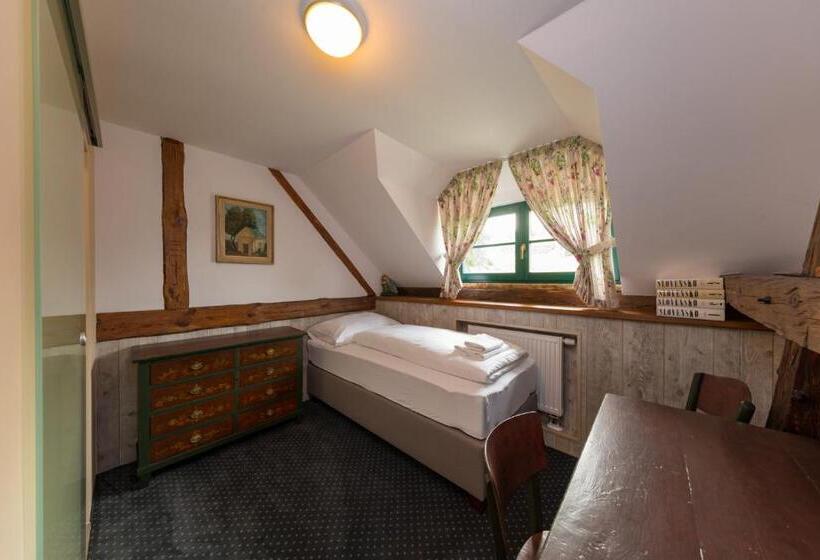 Номер Стандарт Индивидуальный, Boutique Hotel Pri Mlyne Lozorno