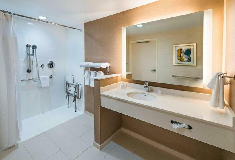 Номер Стандарт, Fairfield Inn & Suites By Marriott Dallas Waxahachie