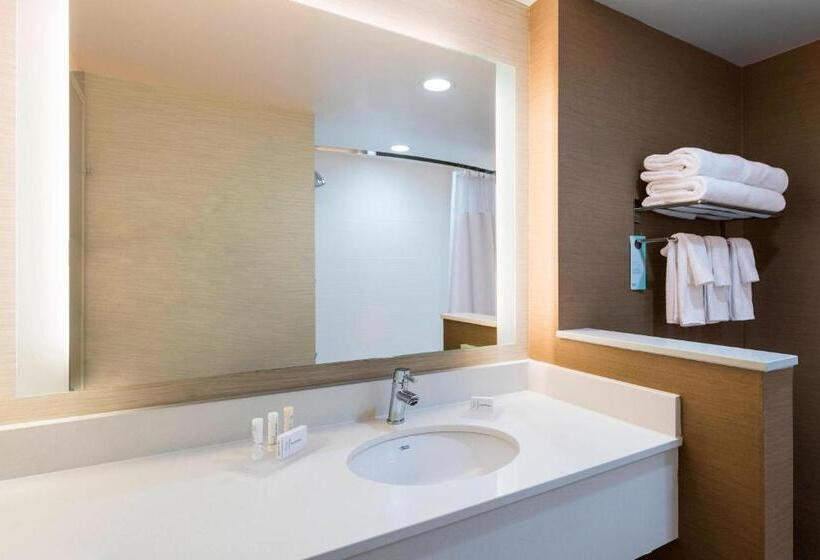Номер Стандарт, Fairfield Inn & Suites By Marriott Dallas Waxahachie