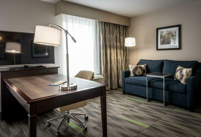 キングサイズベッドのデラックススイート, Hampton Inn & Suites Hammond