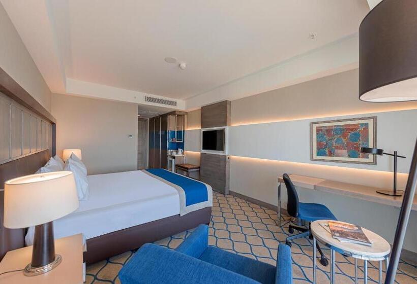 标准间, Holiday Inn Kayseri   Duvenonu, An Ihg