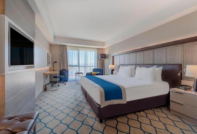 标准间, Holiday Inn Kayseri   Duvenonu, An Ihg